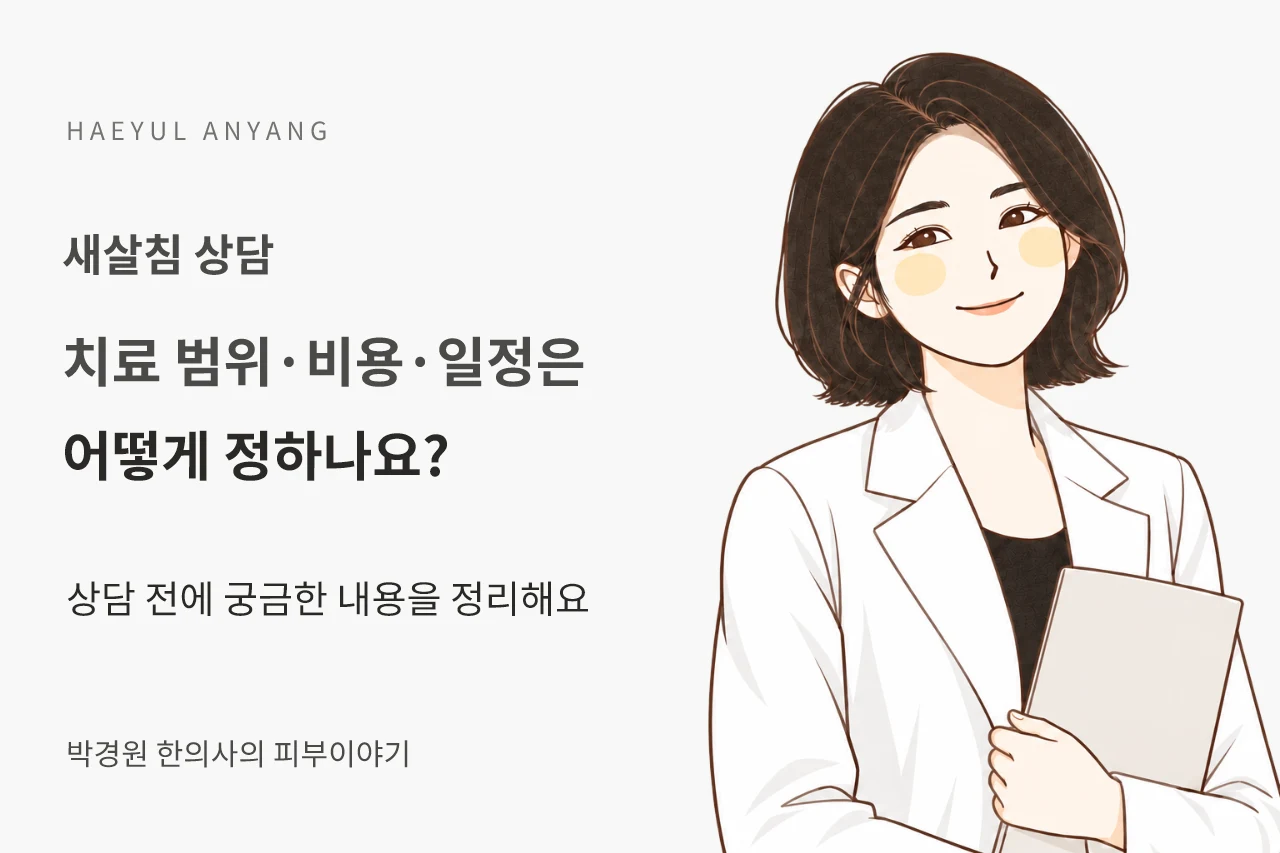새살침 상담 칼럼 — 치료 범위·비용·일정은 어떻게 정하나요?
