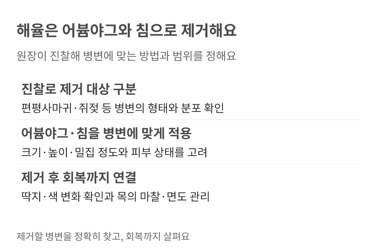 해율은 어븀야그와 침으로 제거해요. 원장이 진찰해 병변에 맞는 방법과 범위를 정해요
