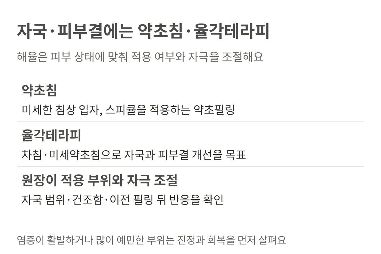 스피큘을 이용한 약초침과 차침·미세약초침을 활용하는 율각테라피의 목표와 적용 조건