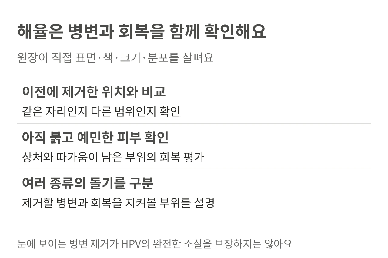 해율 안양점 원장이 병변의 위치와 분포, 회복 상태를 함께 확인하는 과정
