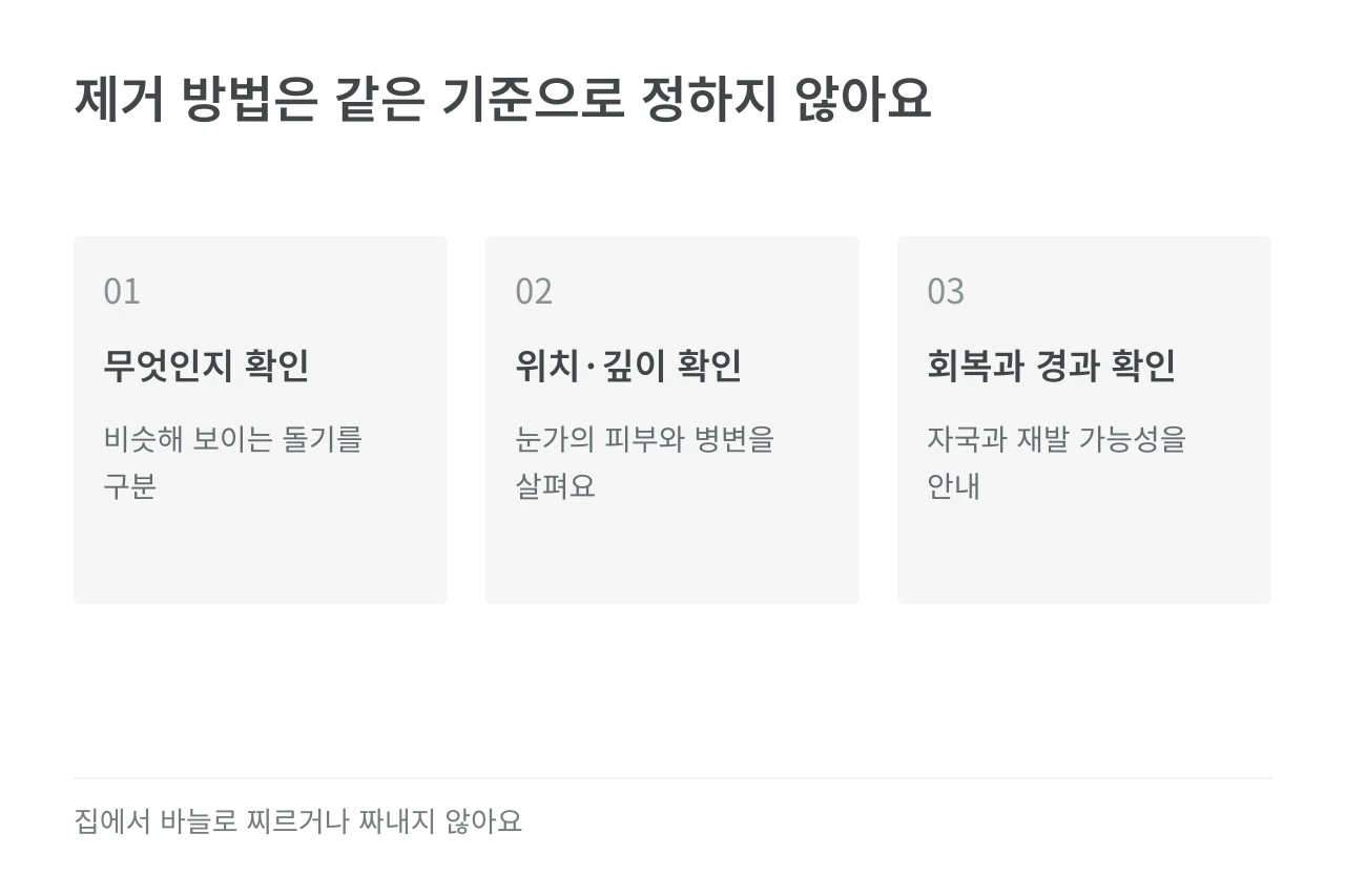 제거 방법은 같은 기준으로 정하지 않아요 — 무엇인지 확인·위치·깊이 확인·회복과 경과 확인