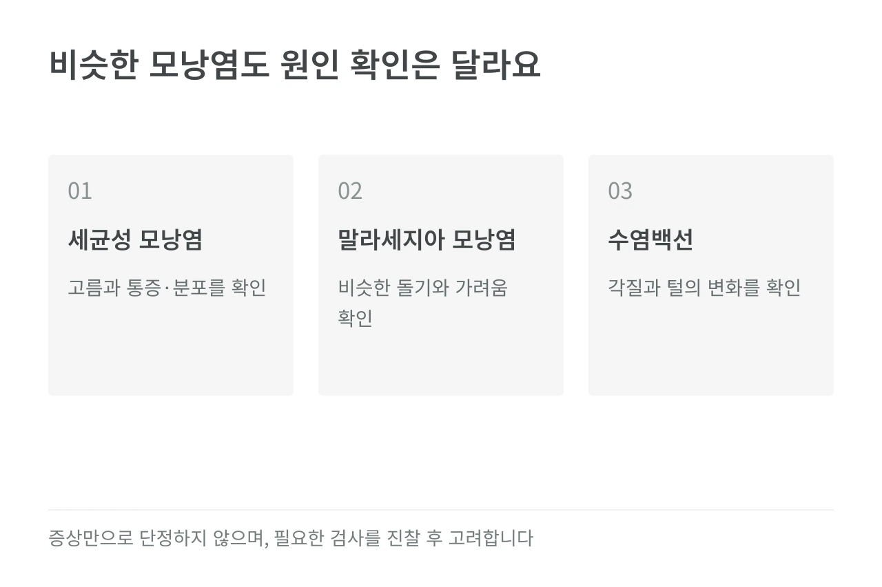 비슷한 모낭염도 원인 확인은 달라요 — 세균성 모낭염·말라세지아 모낭염·수염백선