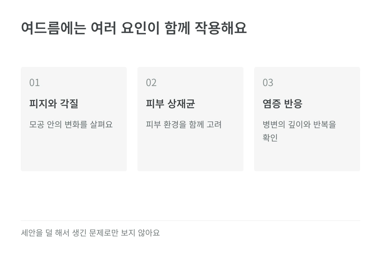 여드름에는 여러 요인이 함께 작용해요 — 피지와 각질·피부 상재균·염증 반응