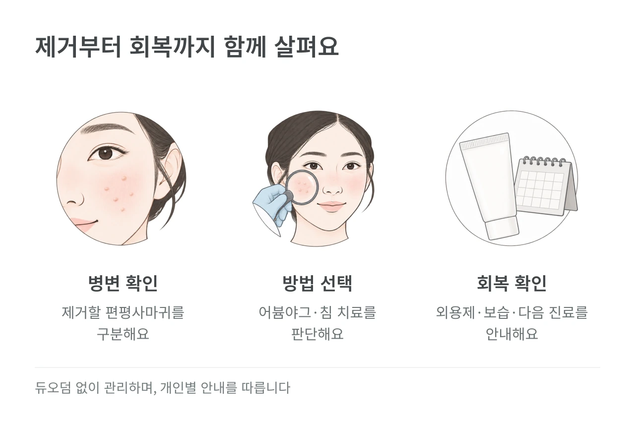 제거부터 회복까지 함께 살펴요 — 병변 확인·방법 선택·회복 확인