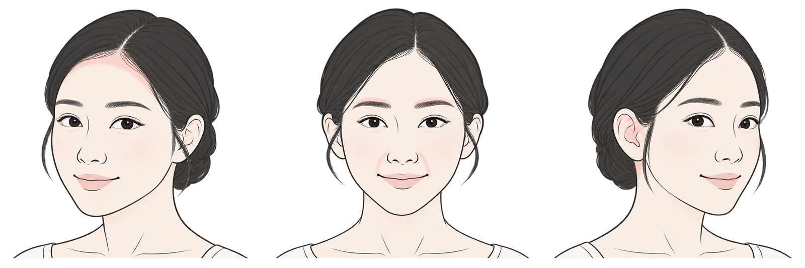 두피와 헤어라인 위치를 보여주는 선화